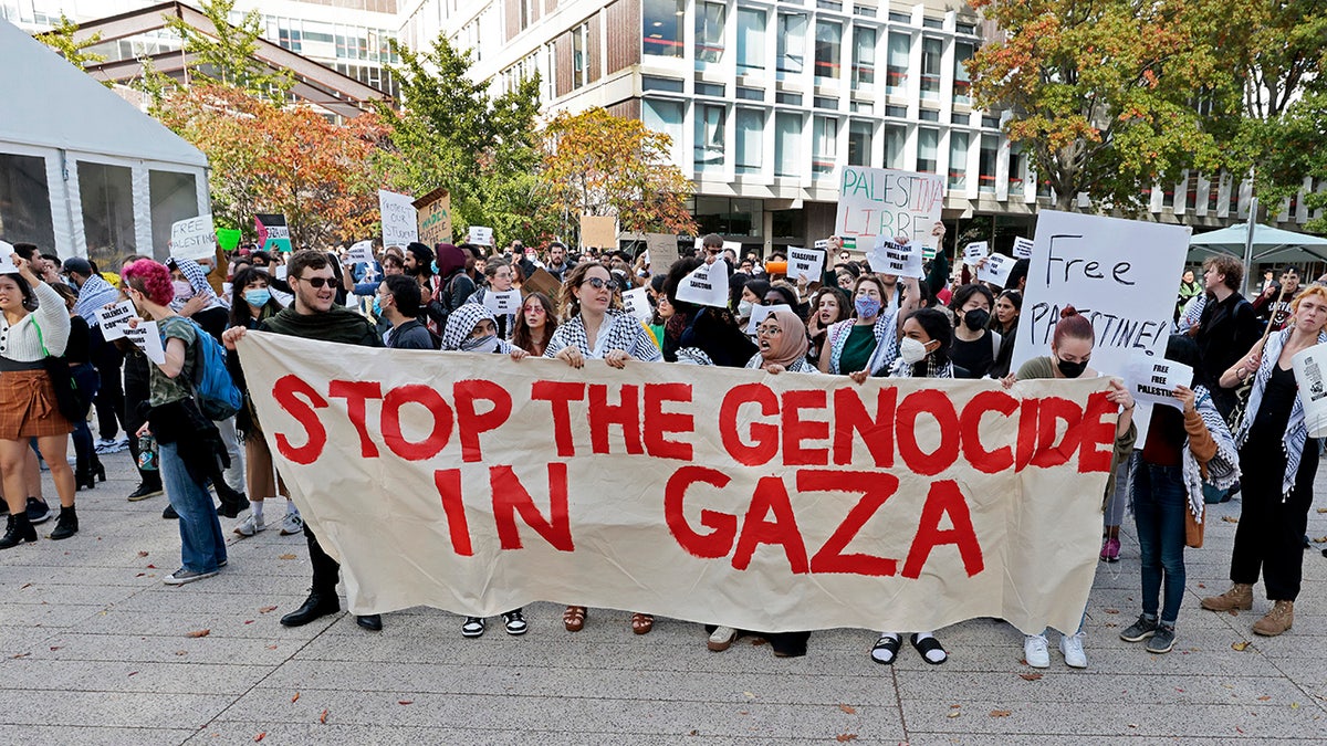 Harvard protesters have a sign saying that