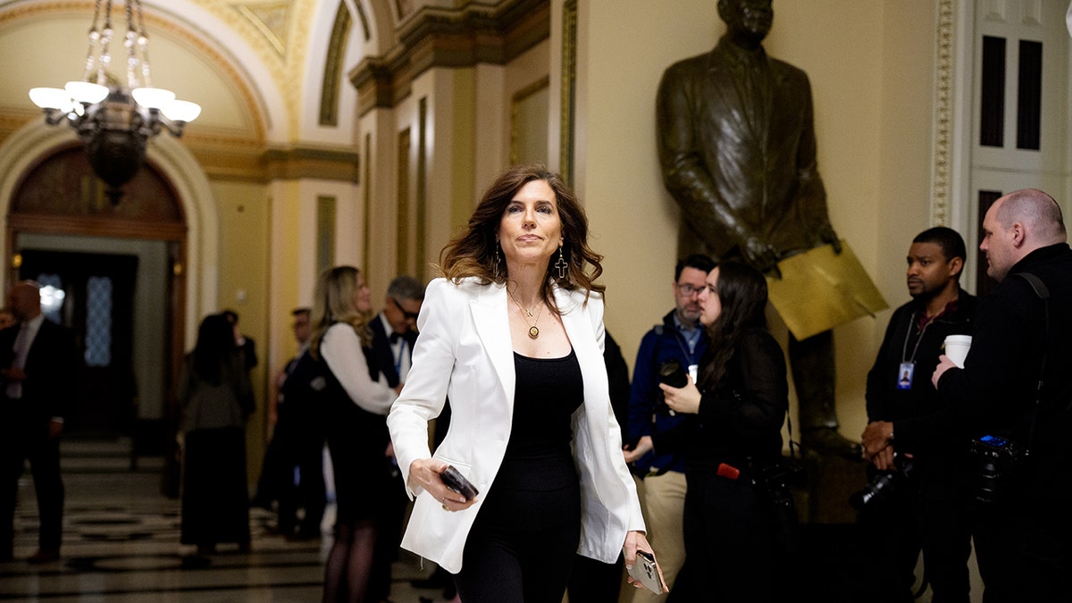 Mace walks by Capitol