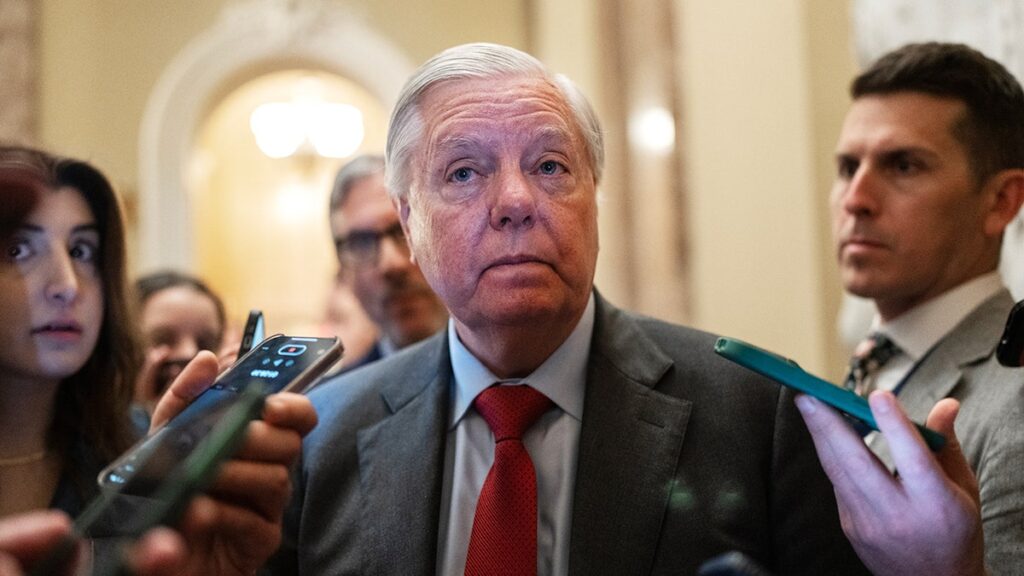 Lindsey Graham attracts a Democratic Senate Challenge who previously lost his congressional career